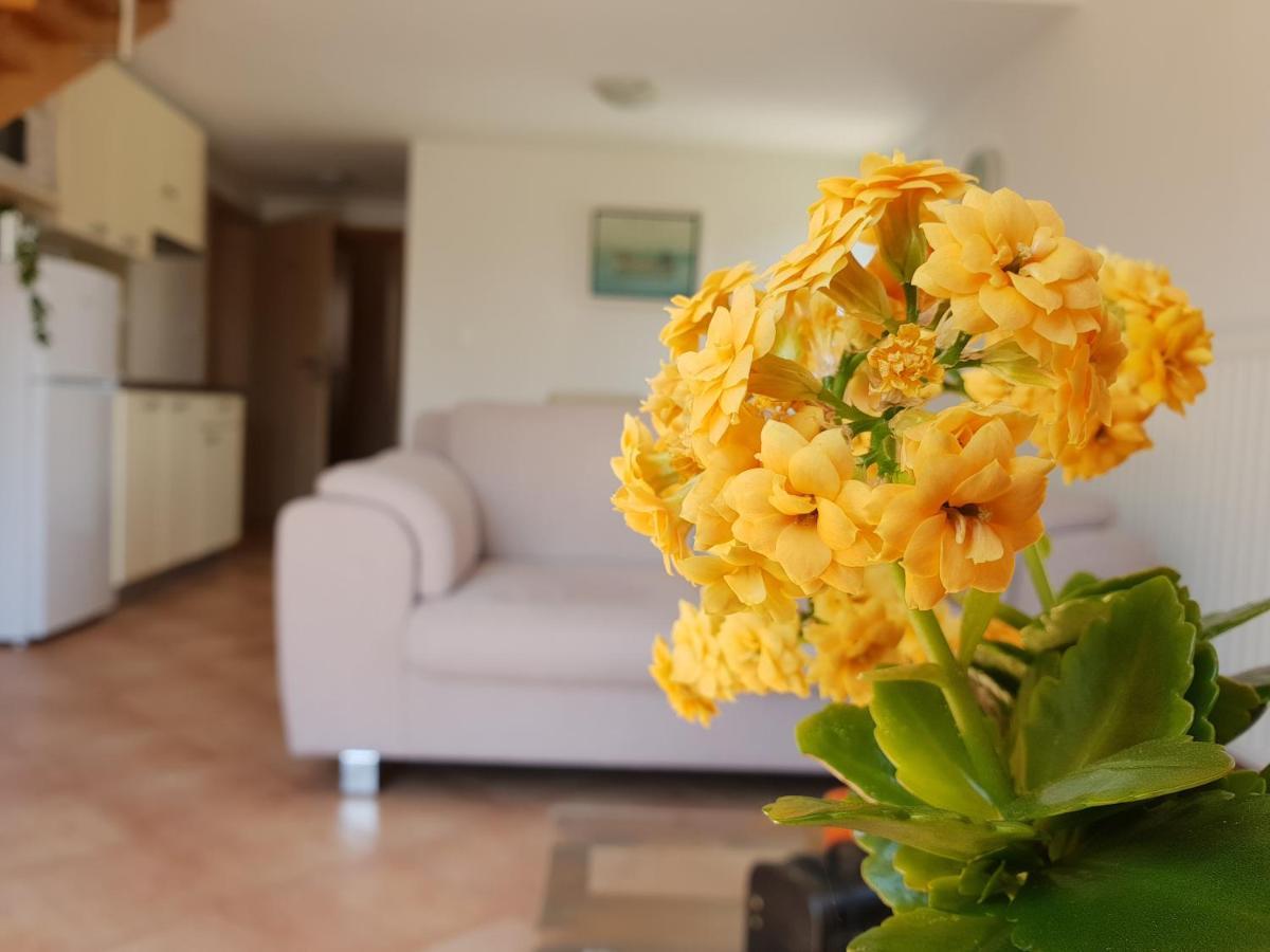 Apartments Skocic Vodice Zewnętrze zdjęcie