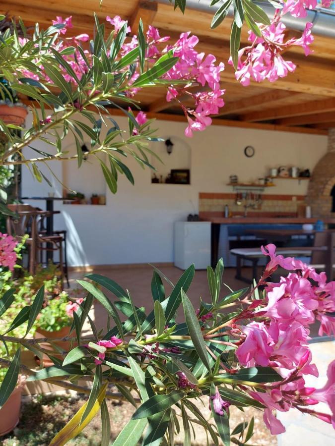Apartments Skocic Vodice Zewnętrze zdjęcie