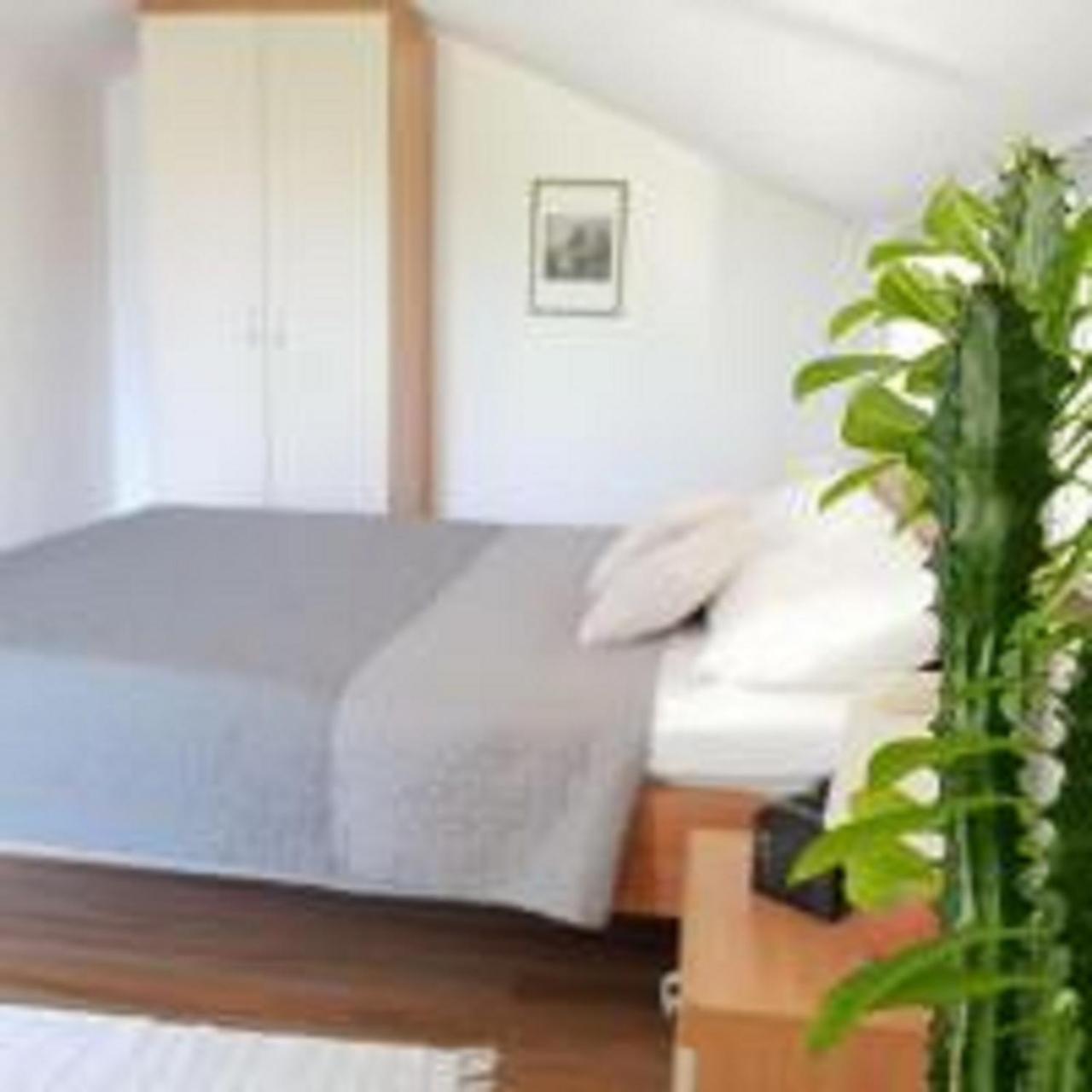 Apartments Skocic Vodice Zewnętrze zdjęcie
